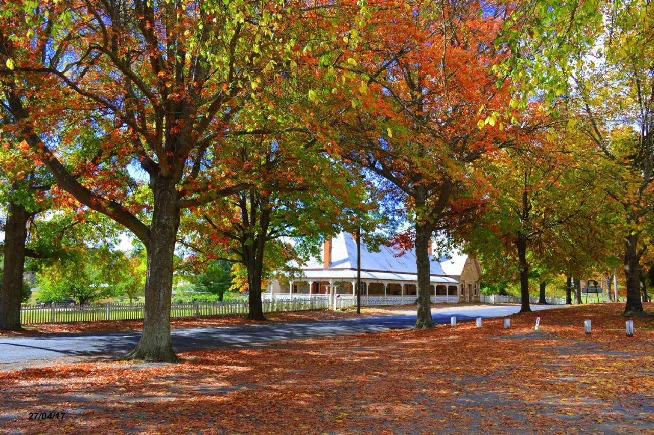 Settlers Motor Inn Tenterfield Extérieur photo